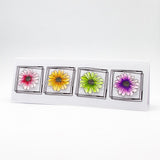 Load image into Gallery viewer, Tonic Studios - Essentials - Squares Scribble Frame - 2753E